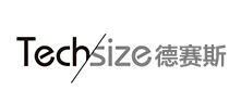 Techsize˹